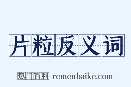 片粒反义词是什么意思的图片